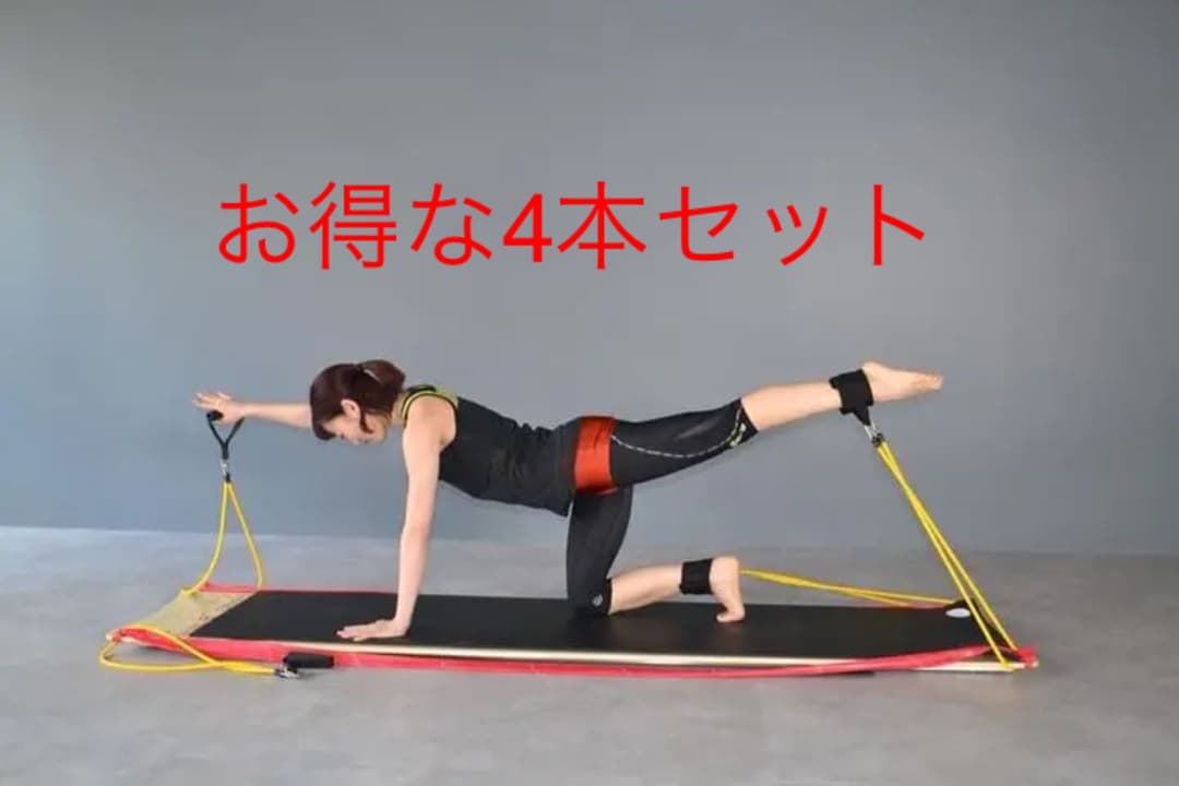 ダヴィンチボディボード ストレートタイプ 4本セット