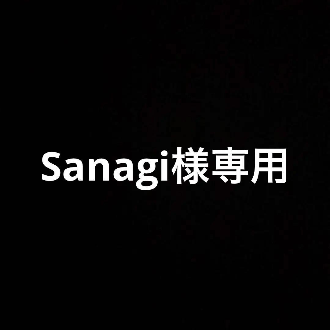 筆記具 Sanagi