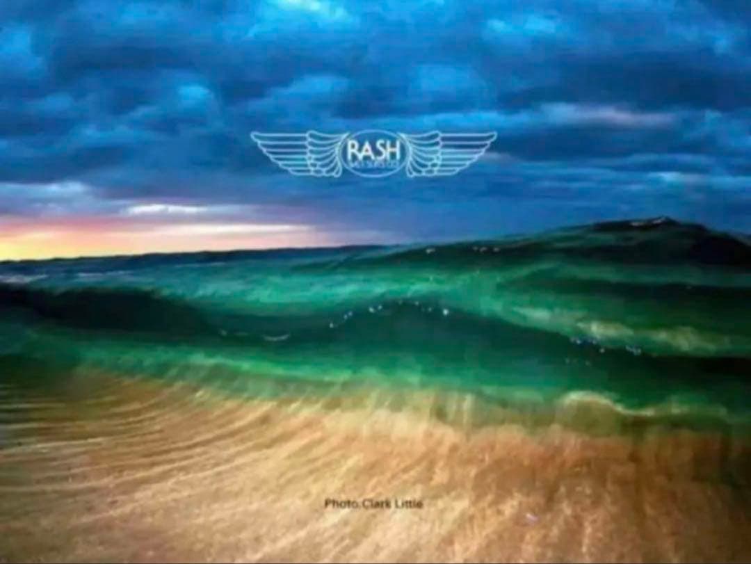 ✳️良品★RASH★シーガル★オーダーMLサイズ位★超伸縮生地★信頼の日本製