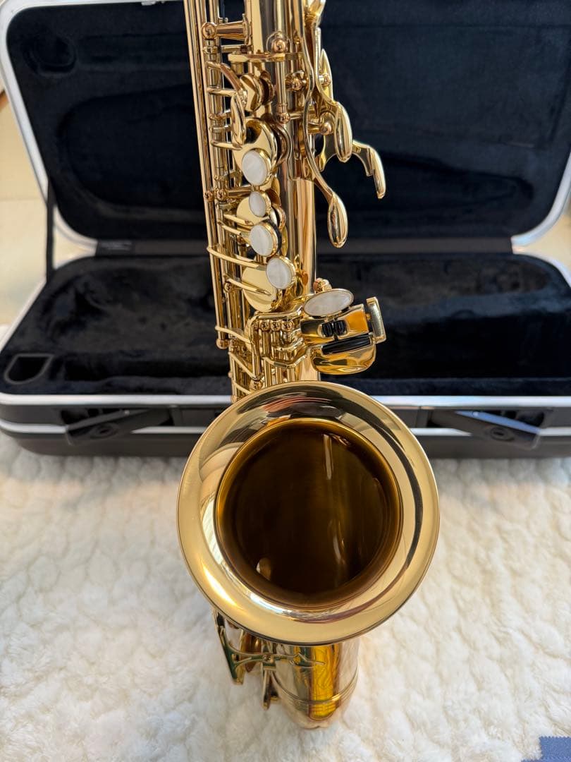 とても美品　アルトサックス アンティグア