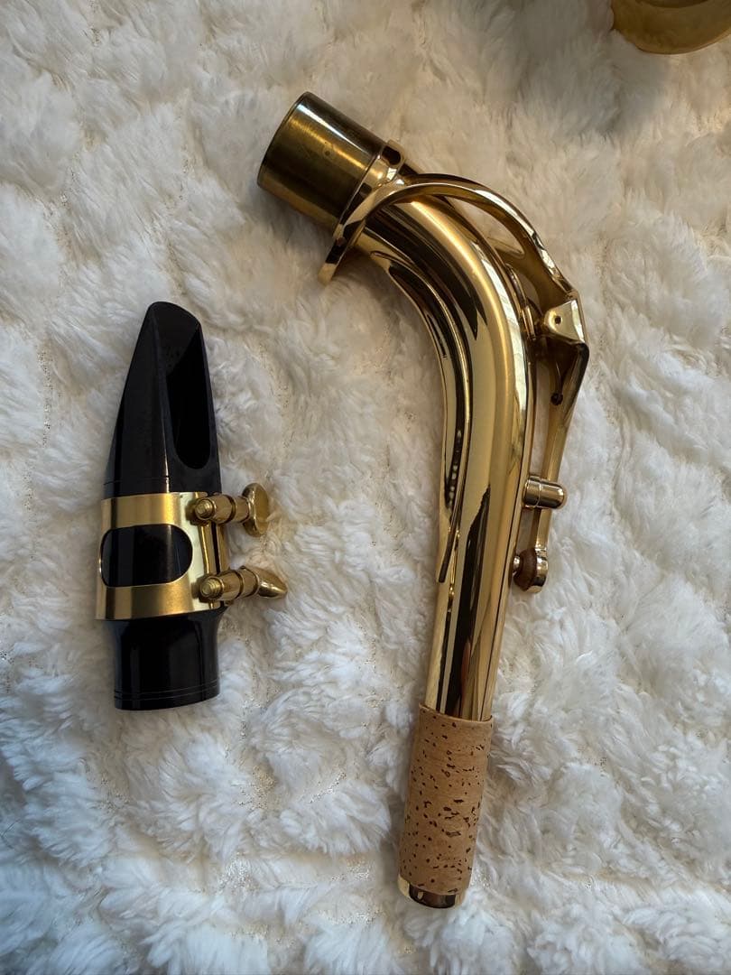 とても美品　アルトサックス アンティグア