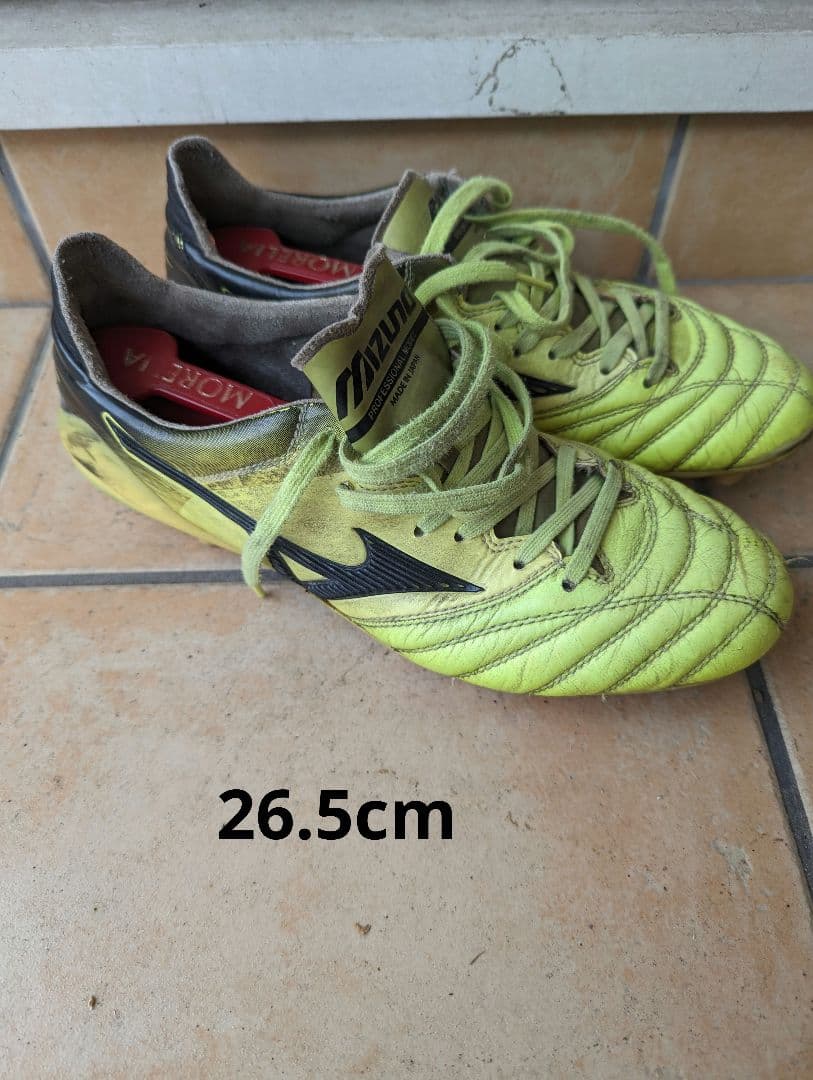 モレリアネオ2 蛍光色