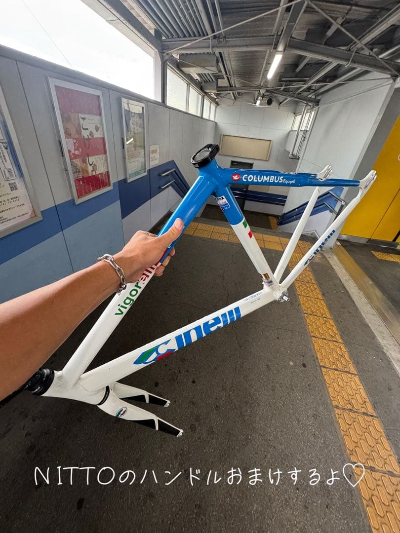 stokedvigorelli 2009 フレームセット