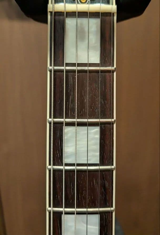 【値下げしました】FGN NLC100 / レスポールカスタムDuncan PU