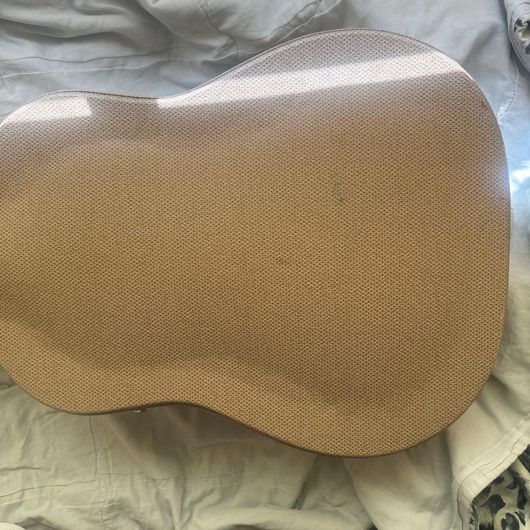 Cole Clarkアコースティックギター ハードケース付き