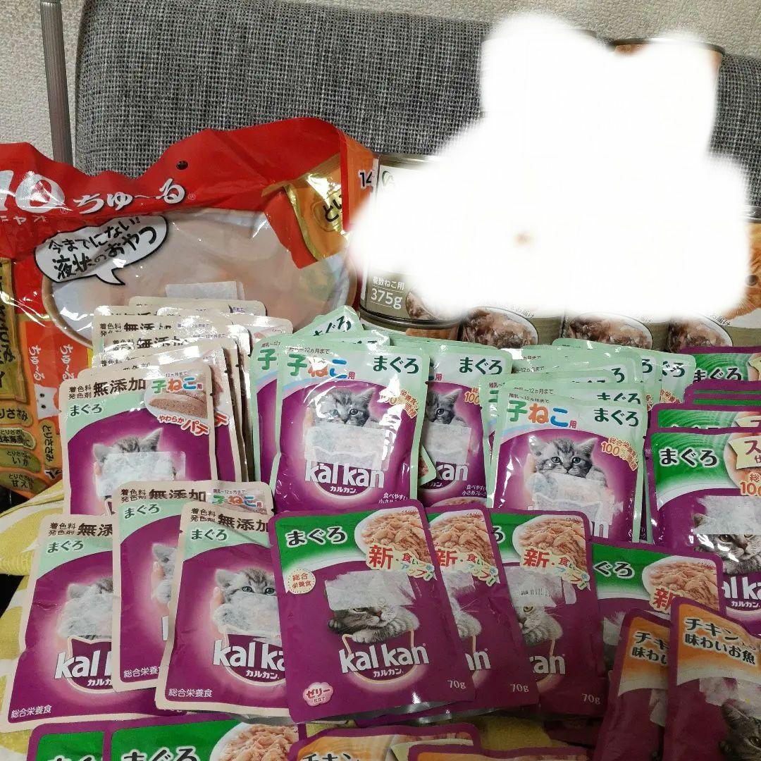 カルカン5種類48袋、チュール40本 、いわしのぶつ切り375g缶詰10缶