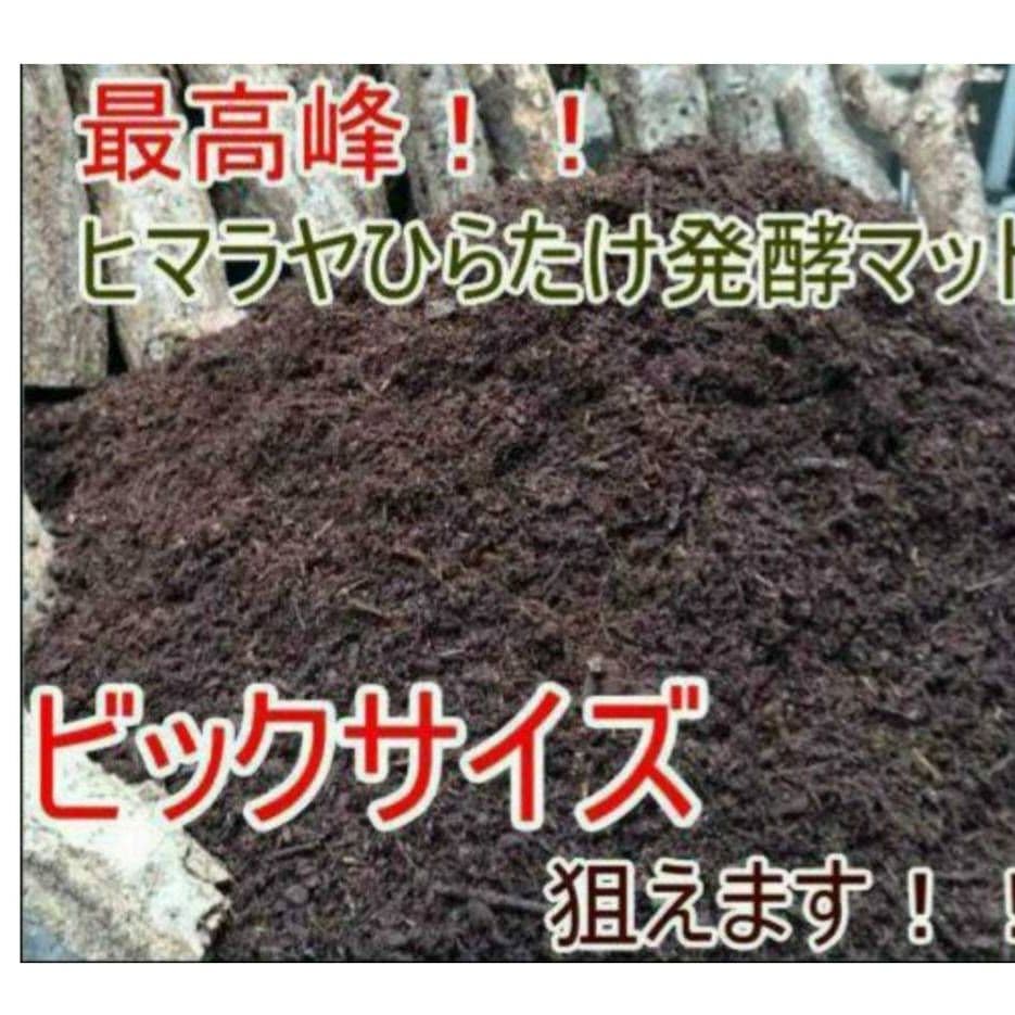 大量飼育に！【300リットル】良質☆発酵カブトムシマット☆幼虫が丸々太ります！