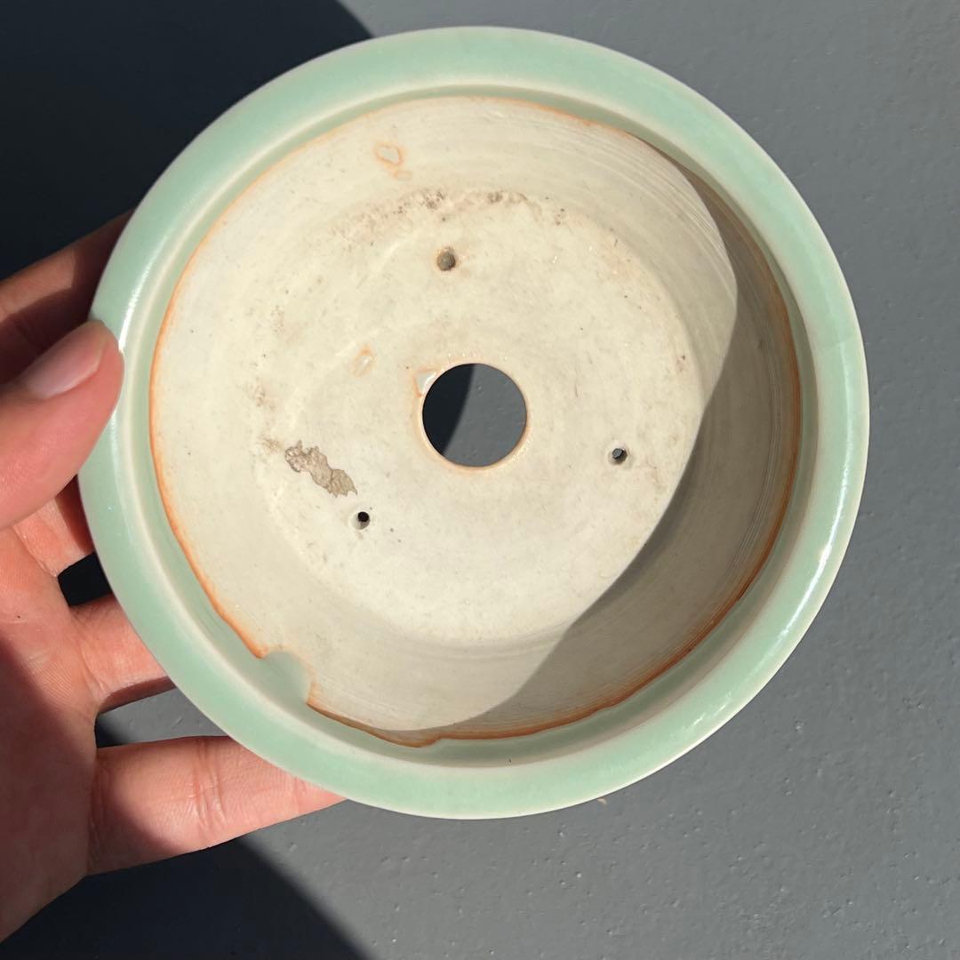 621.森山秀山 青瓷釉彫刻丸鉢 盆栽鉢 植木鉢 11.6*3.9cm