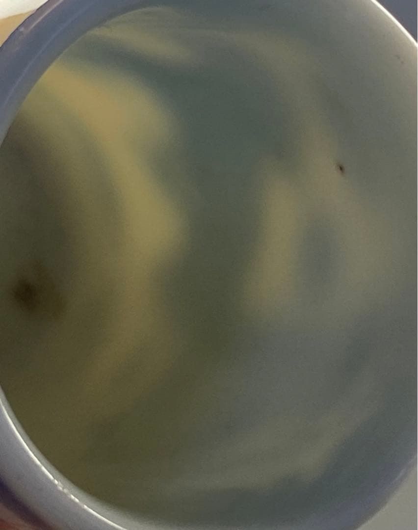 江戸　染付　鶴紋茶杓入　古染　茶道具　送料込み1007