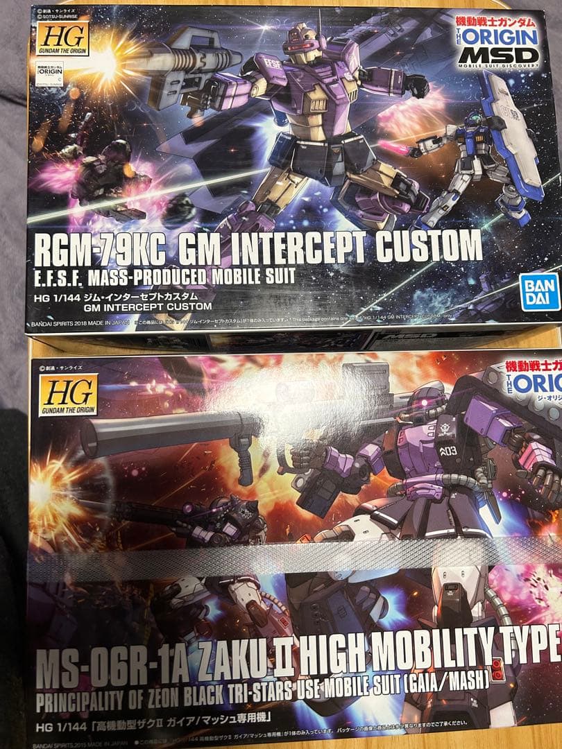 HG高機動型ザクⅡガイア/マッシュ専用機　HGジムインターセプトカスタム セット