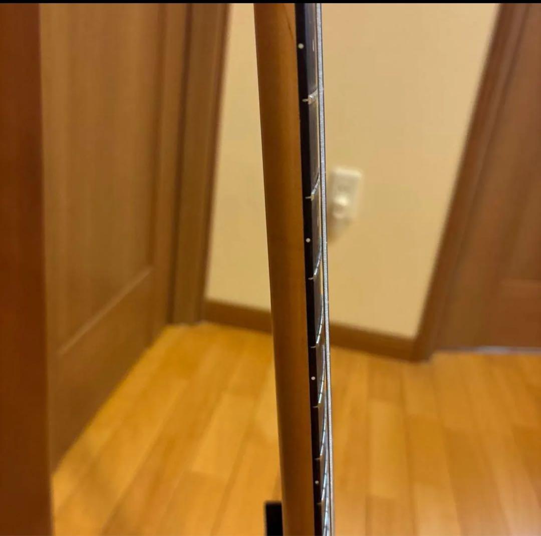 FERNANDES FGZ400 ブラックパーツ仕様 トレモロアーム・ケース付