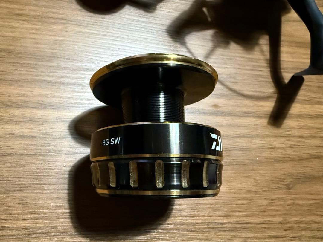 ダイワ 23BG SW 10000-H