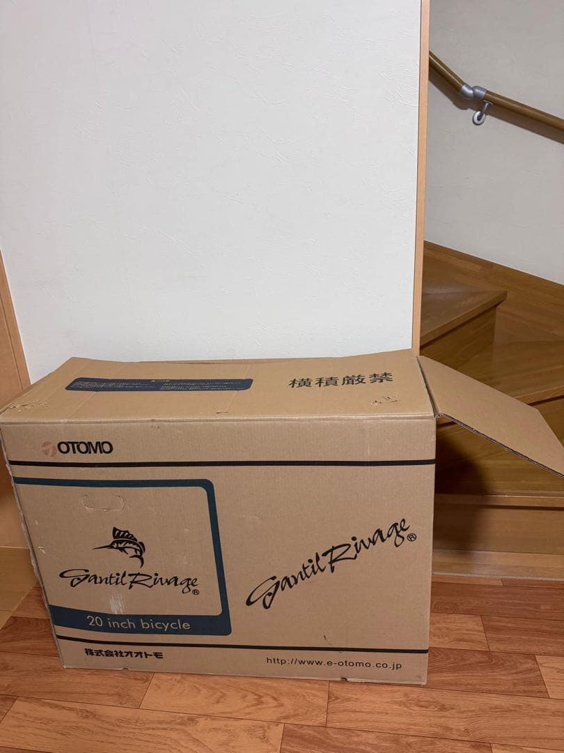 GanitRinge 20インチ折りたたみ自転車