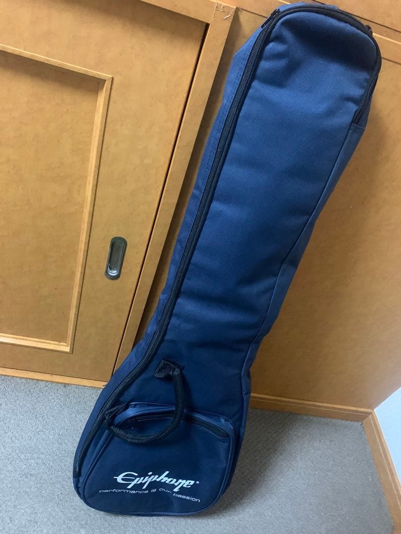 Epiphone Special Model Express エクスプレス