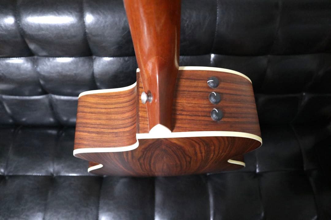 【送料込み】Taylor 214ce ES2 エレアコ 本革ストラップ ケース