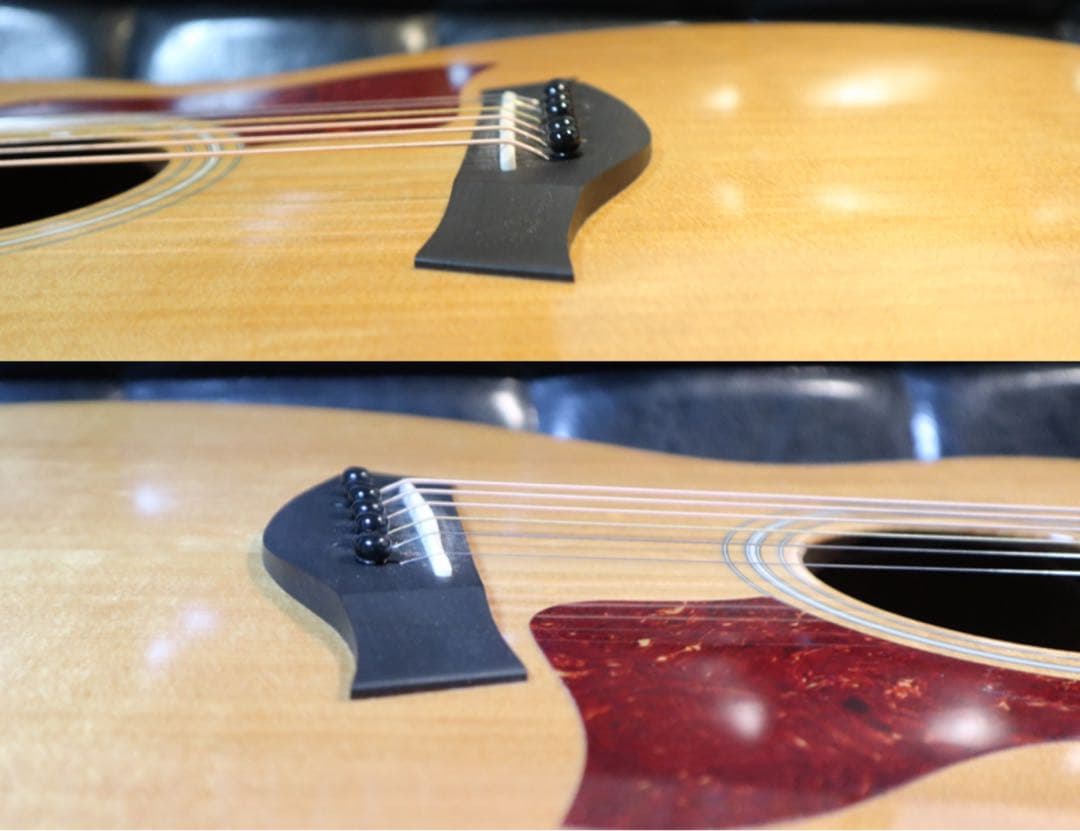 【送料込み】Taylor 214ce ES2 エレアコ 本革ストラップ ケース