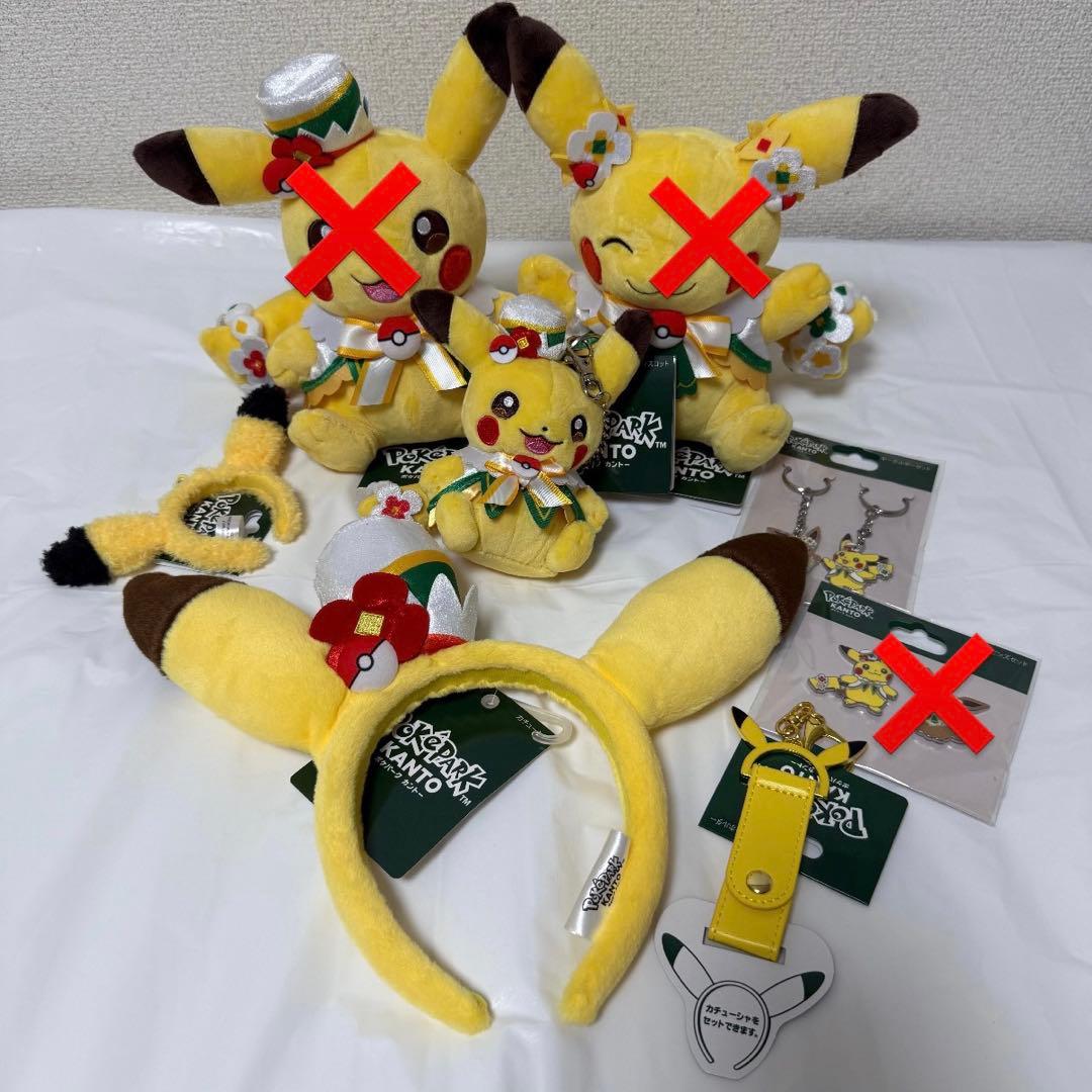 ポケパーク カントー ピカチュウ まとめ売り