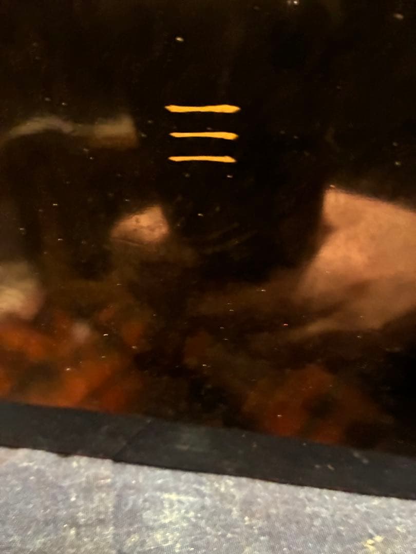 野弁当　漆器　朱塗り　沈金　桜　五段弁当　5人分　傷み無し　雛祭り