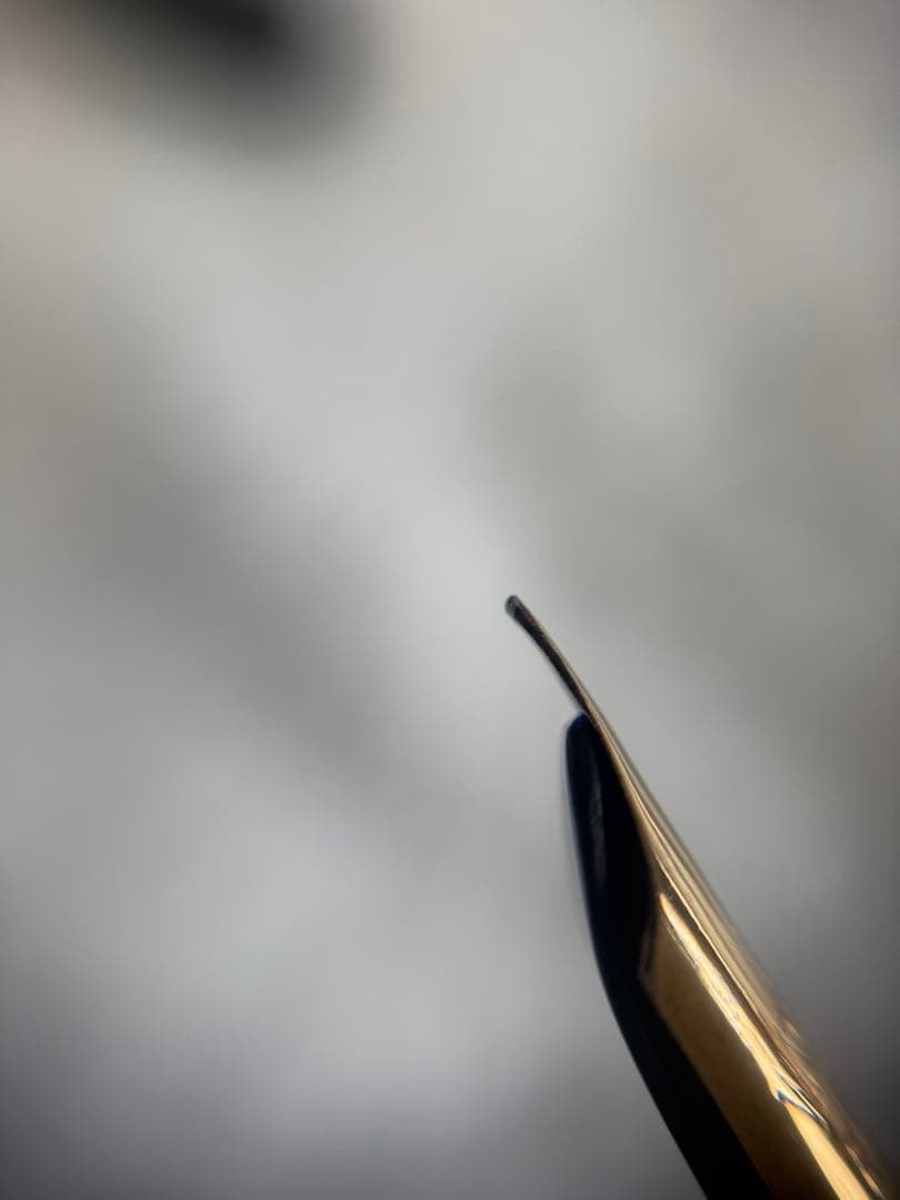 ウォーターマンWATERMAN万年筆セフティペン