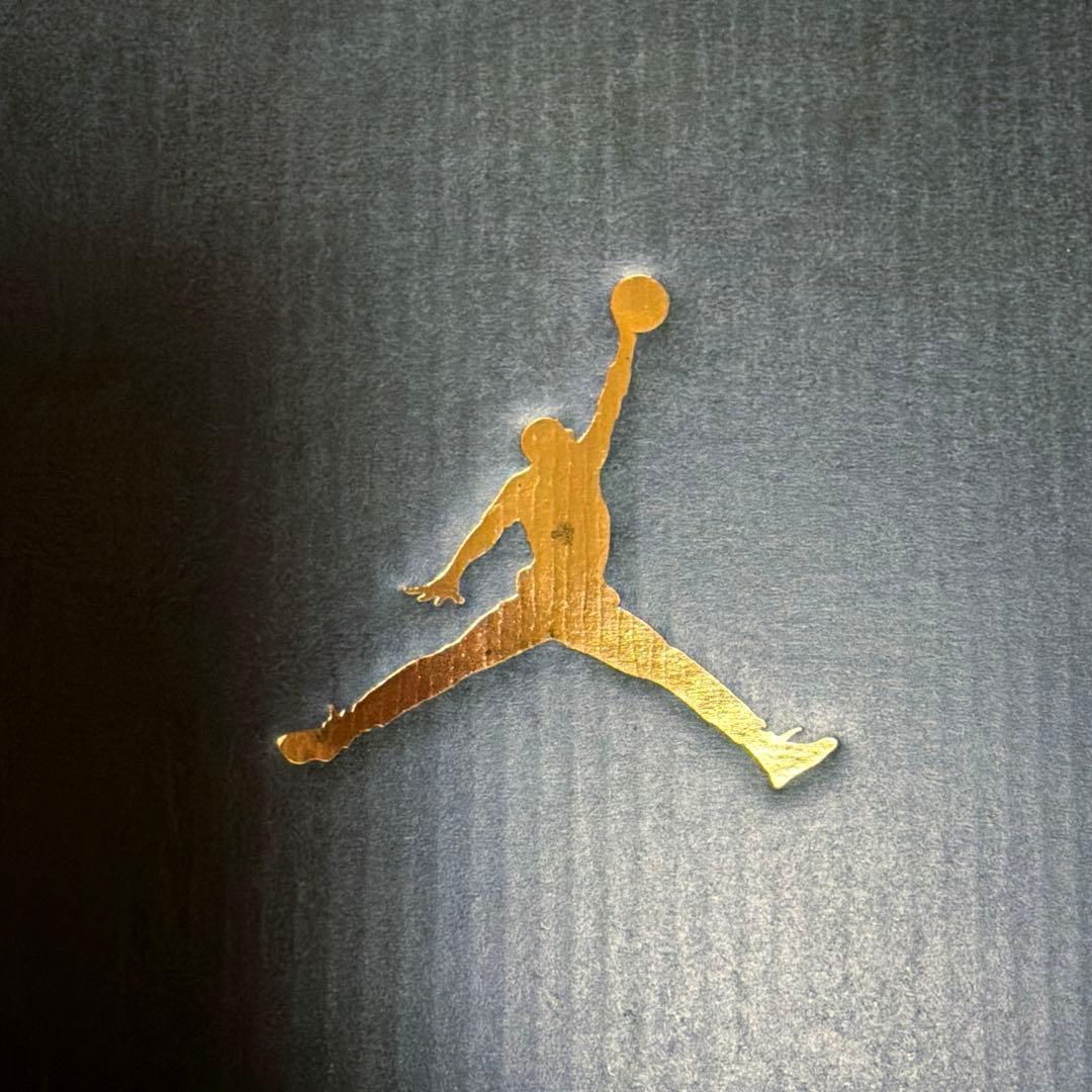 AIR JORDAN 1 LOW G NIKE GOLF ゴルフシューズ