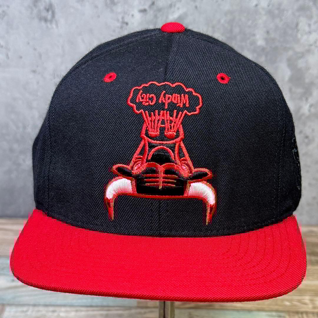 00's〜10's 希少スナップバッグキャップ 11個セット