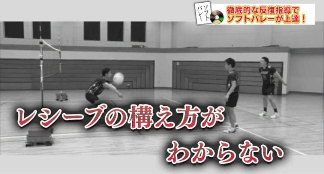 ソフトバレーボール上達革命 Disc 1 .2