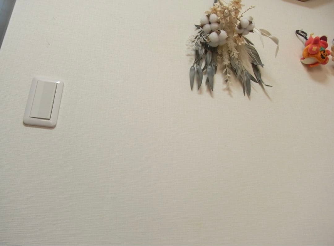 RICOH R10 コンパクトデジタルカメラ＊レトロ　used美品