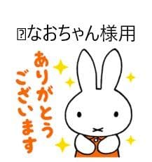 なおちゃん様用バットのみ