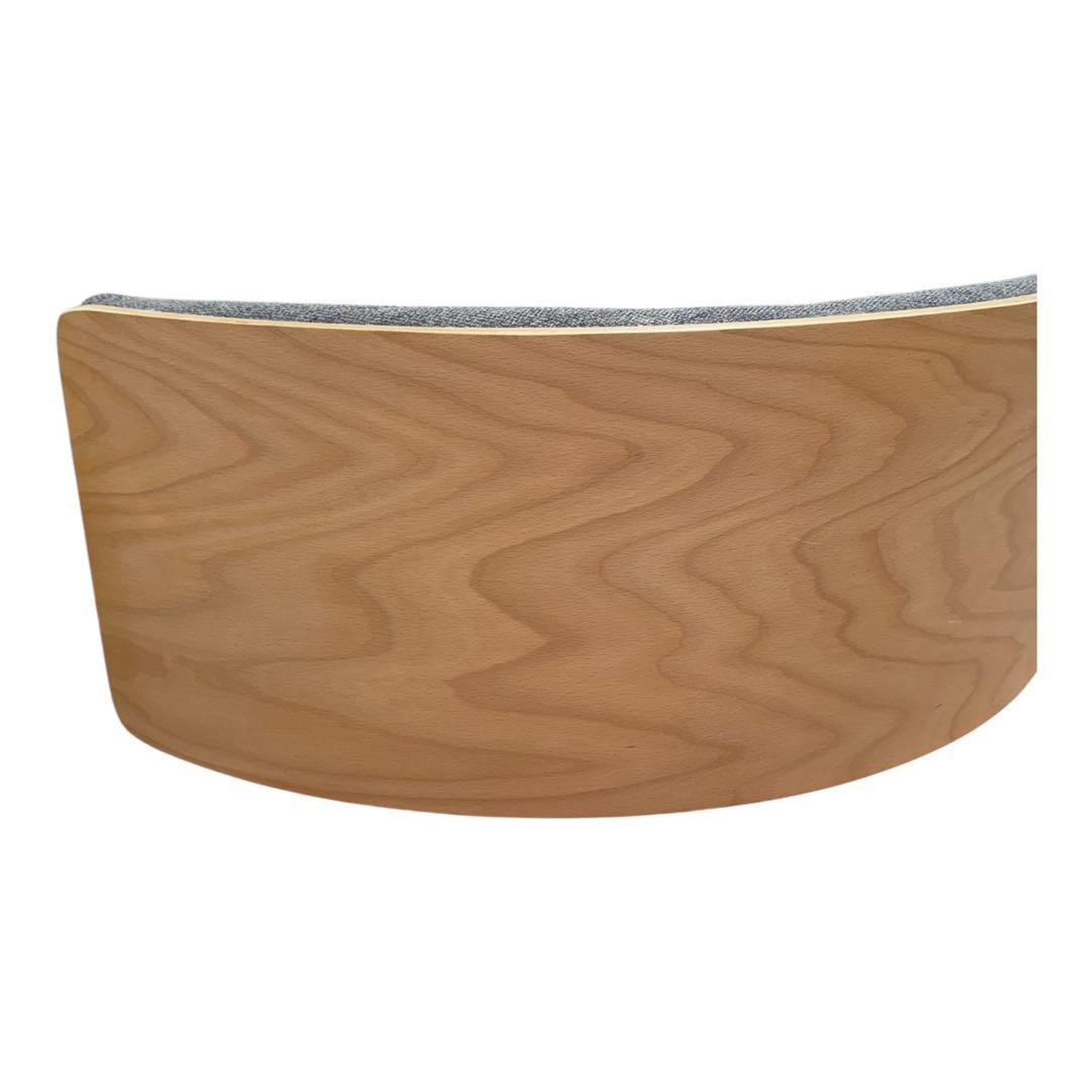 【美品】MIZUNO バランスバウム BALANCEBAUM バランスボード