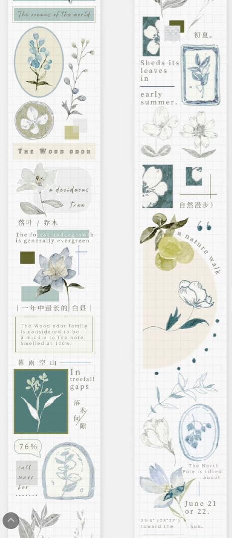 《最終値下げ》海外 マスキングテープ　雀斑茶 6点⚠️pet（33.324