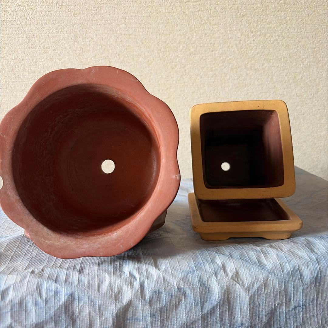 植木鉢　中国宜興　宜興　朱泥　盆栽