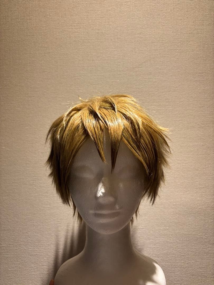 あんさんぶるスターズ 高峯翠 ショコラフェス コスプレ衣装 ウィッグ付き