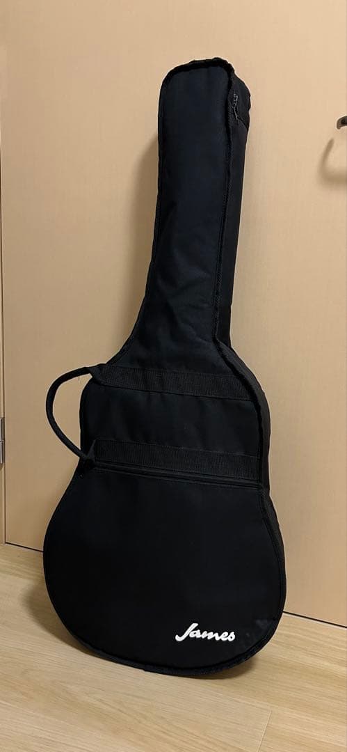 James JF400 アコースティックギター