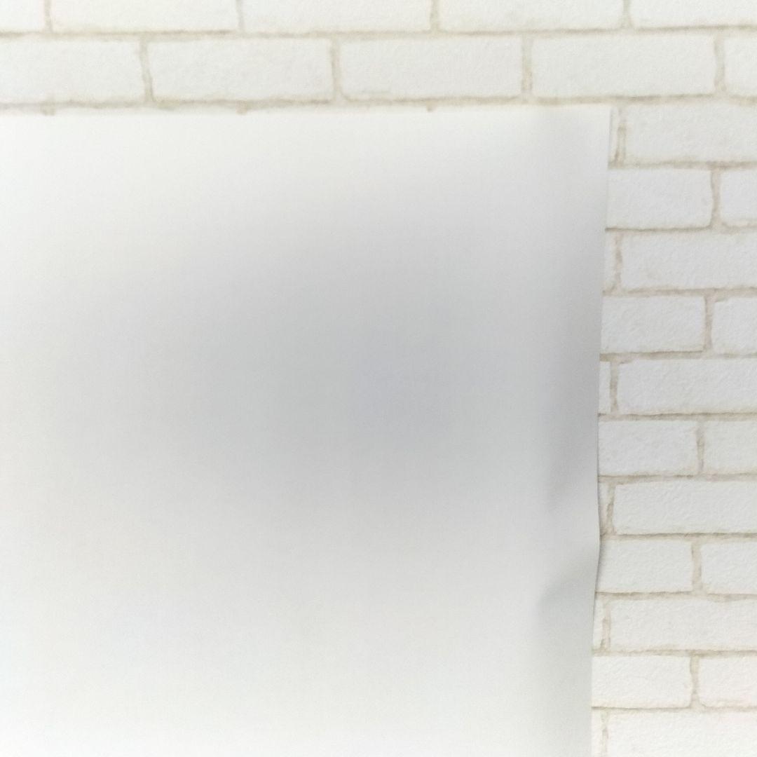 当時物 ディズニー 白雪姫の洞窟と祈りの泉  White Grotto