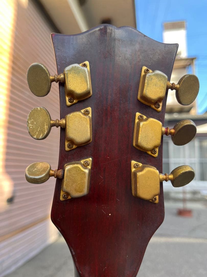 【Lake（レイク） 日本製 ビザールギター 長野ローカルブランド】