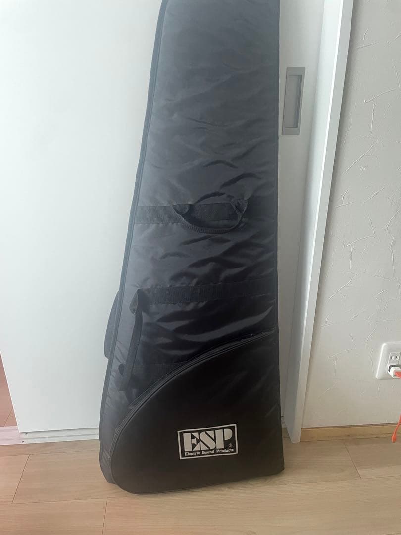 ギター Edwards Snapper E-SN-120