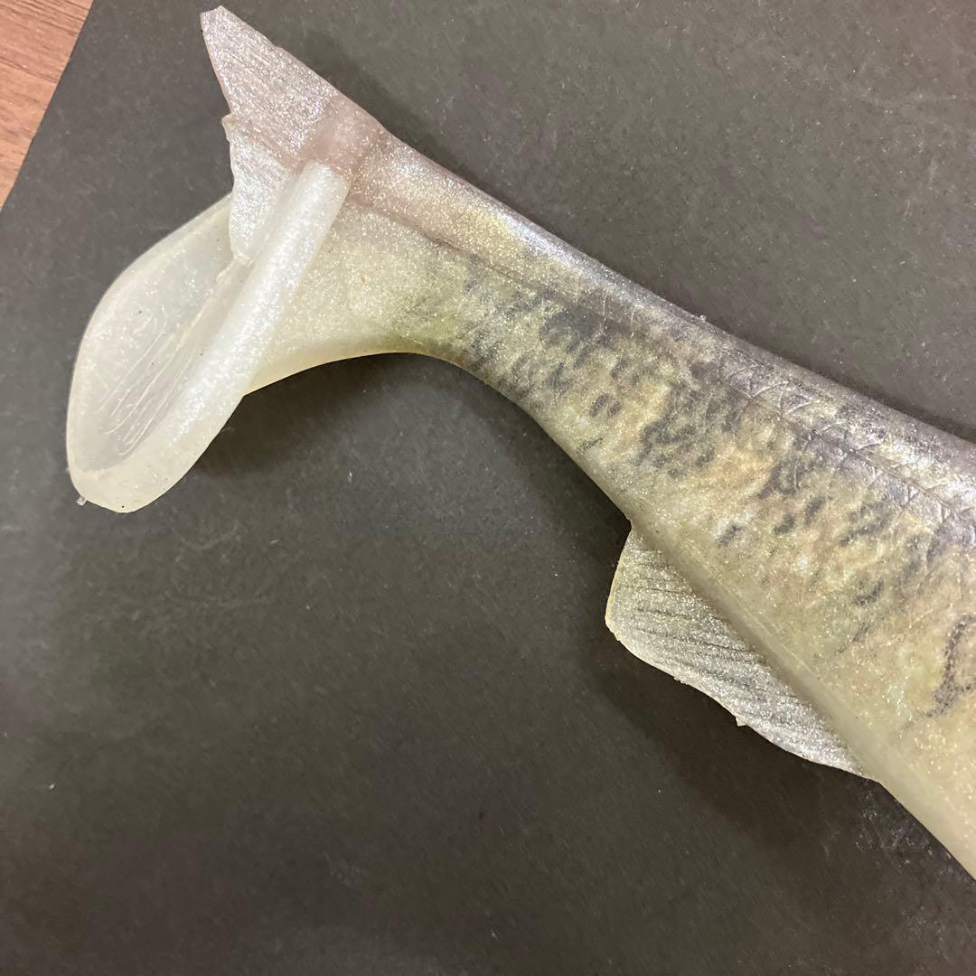 【激レア】　シグナル　カープヘッド　スモールマウス　生カラー