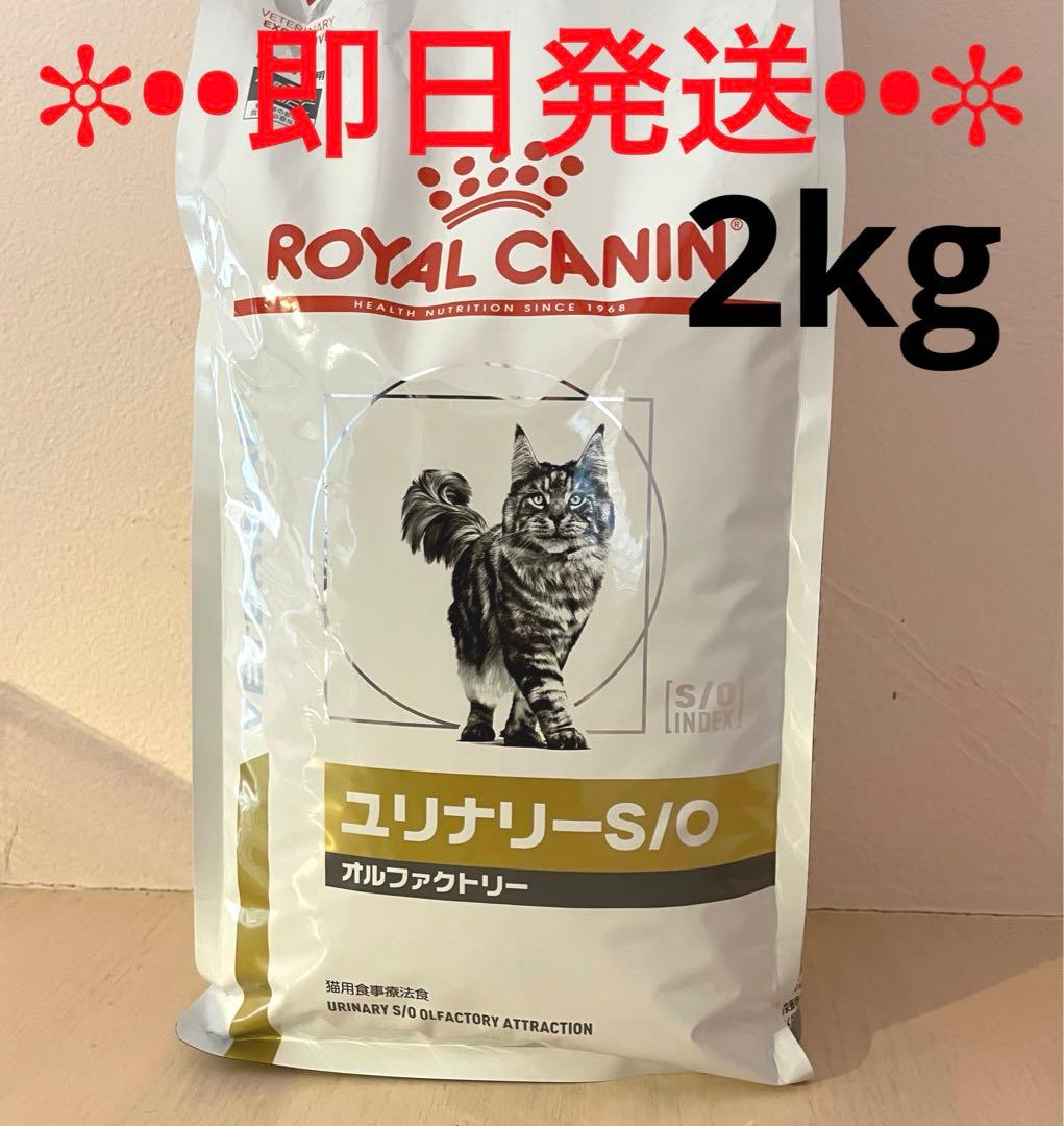 【新品】ロイヤルカナン ユリナリーS/O オルファクトリー 猫用 2kg 1袋