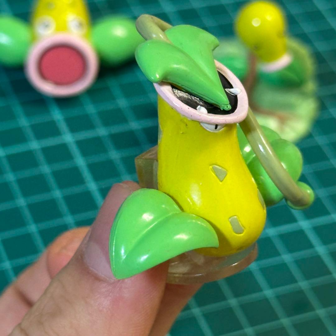 ポケットモンスター　ポケモン　モンコレ　初期　マダツボミ　ウツドン　ウツボット