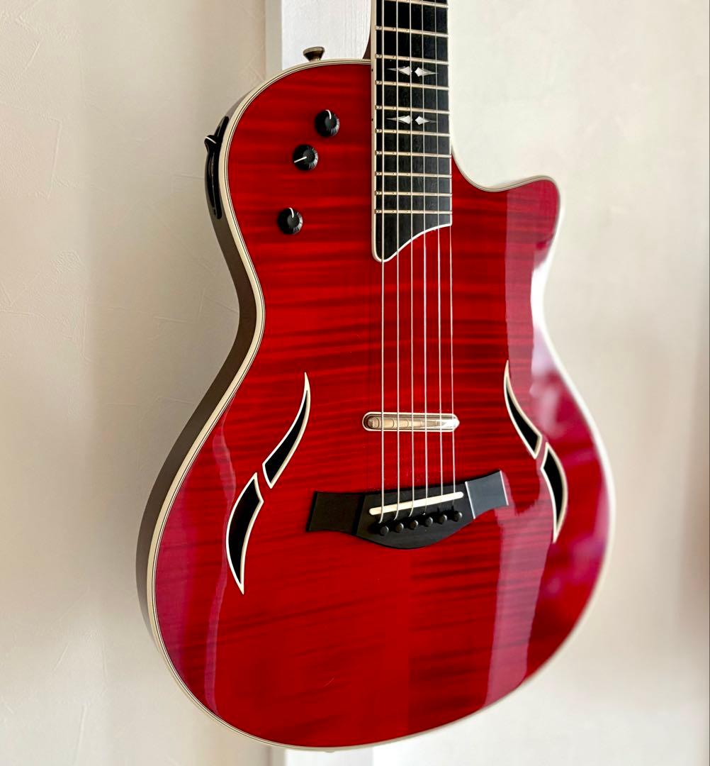 【☆美品】Taylor テイラー T5z Pro
