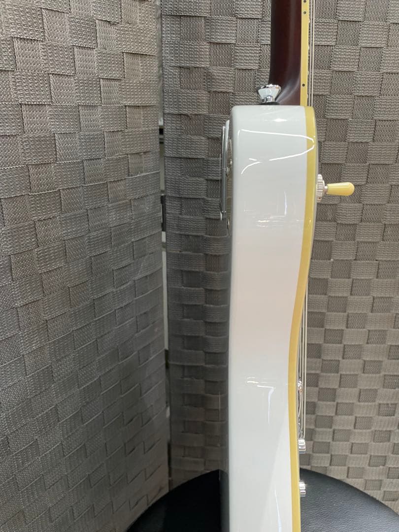 Bacchus BARON-STD/WH P90タイプピックアップ ケース付