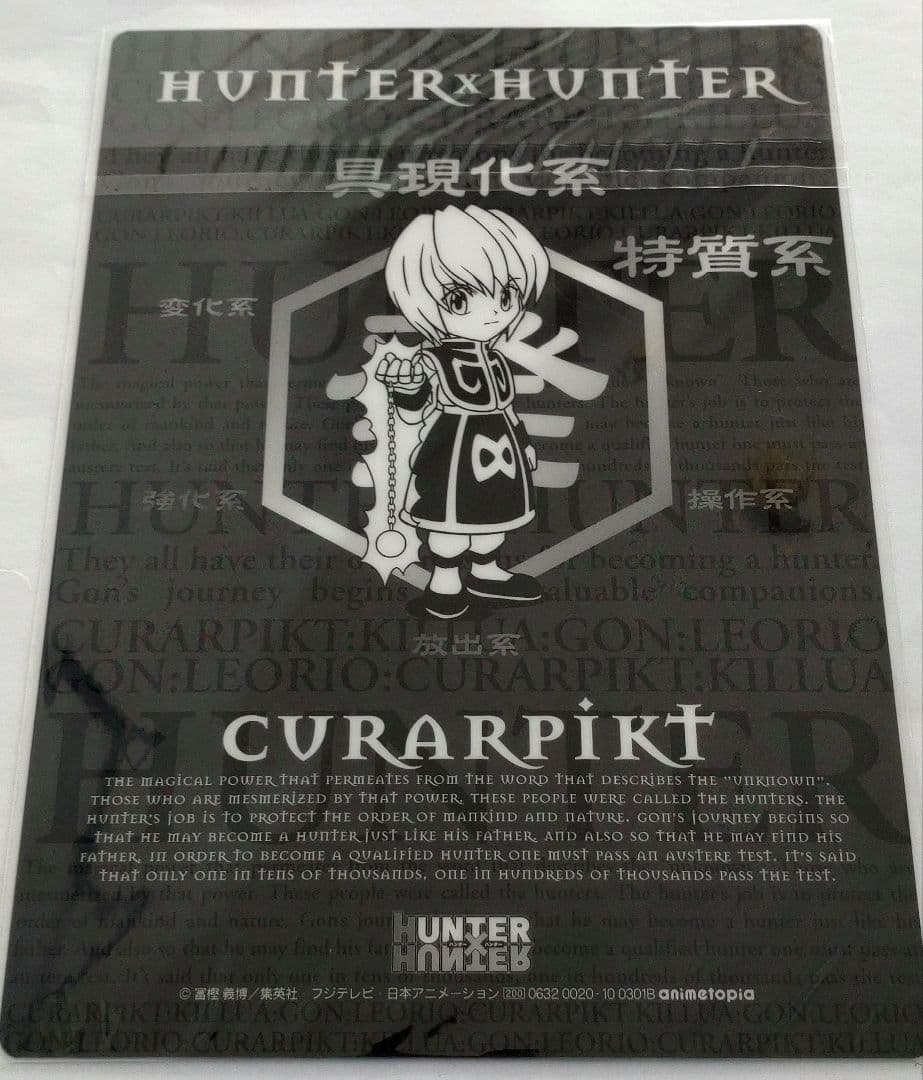 公*o様 【新品未使用】animate商品 HUNTER × HUNTER カー