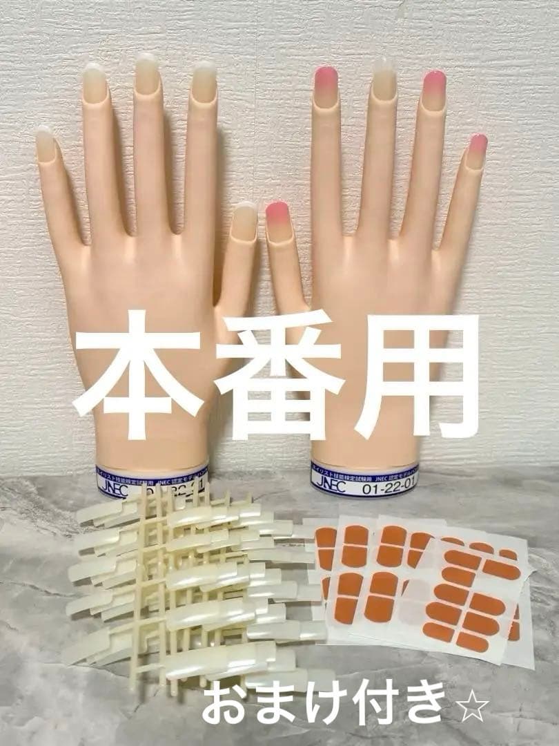 ネイリスト技能検定　認定モデルハンド　認定チップ