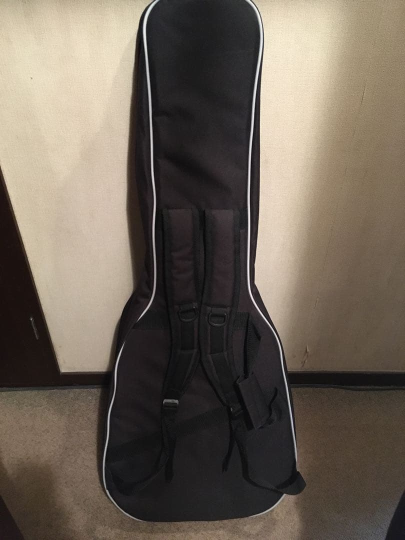 デイヴナヴァロ　シグネーチャーモデル Epiphone アコースティックギター