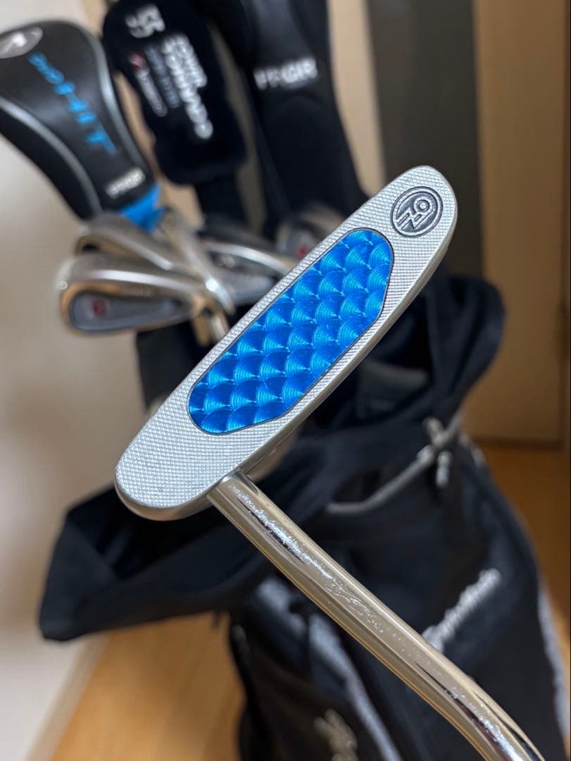 ゴルフクラブ 13本 キャディーバッグセット ゴルフボールおまけ付