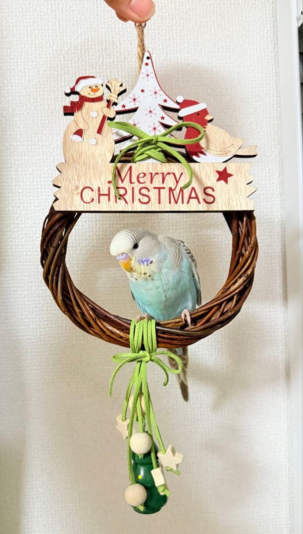 インコのおもちゃ 作品紹介