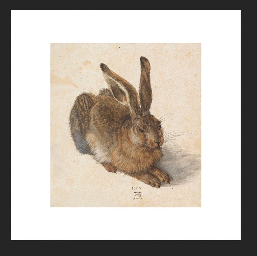 アルブレヒト・デューラー　水彩画　「うさぎ」　複製画