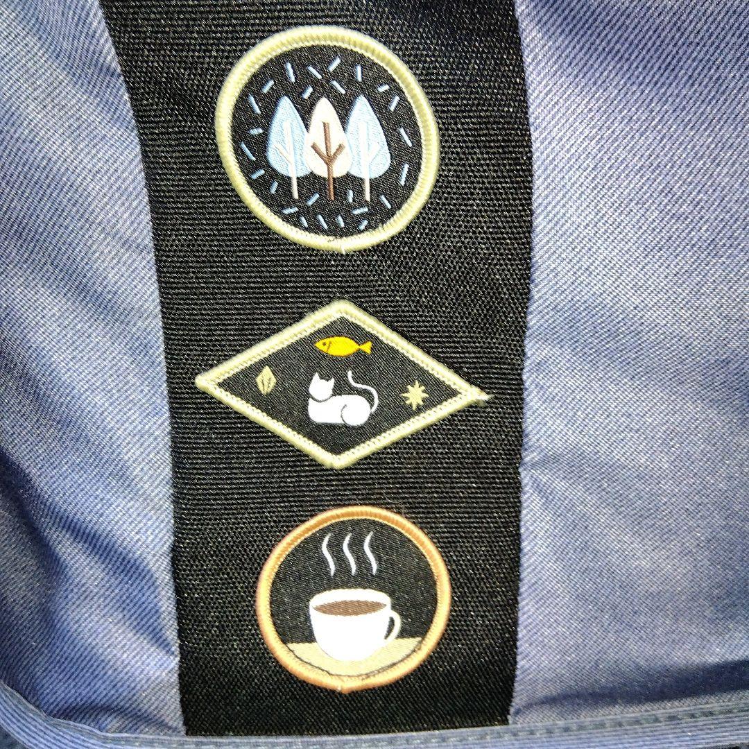 FikaGO FREE TO GO 2 ペットカート ブルー 美品