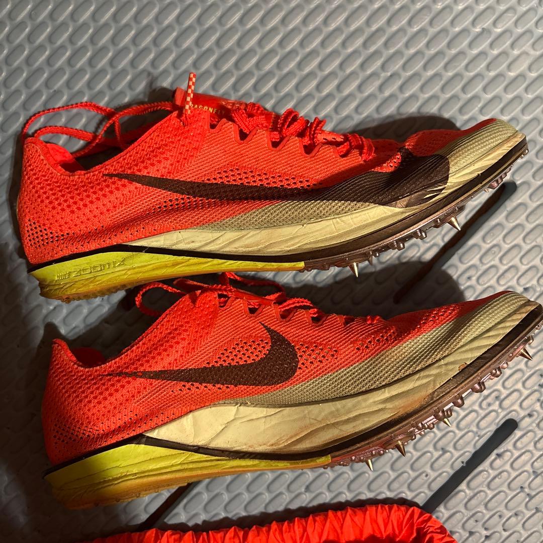 ドラゴンフライエリート