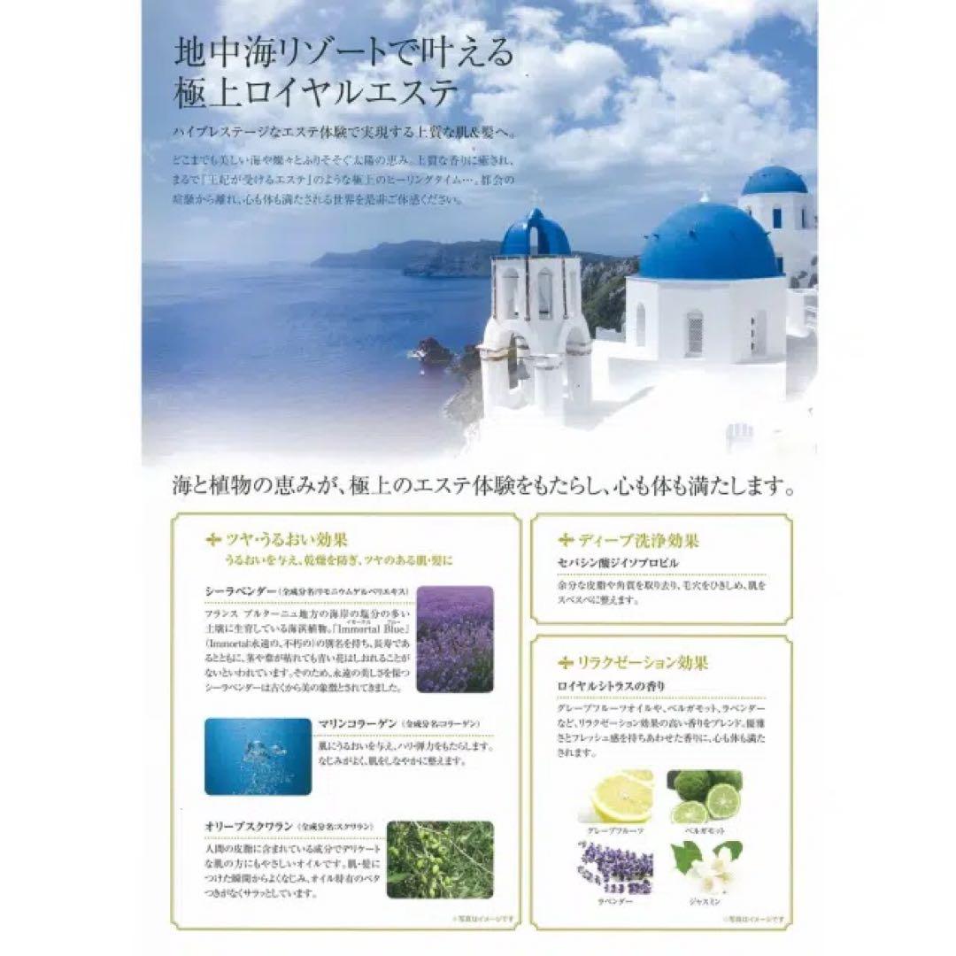 POLA エステロワイエ コンディショナー 10L 新品未使用